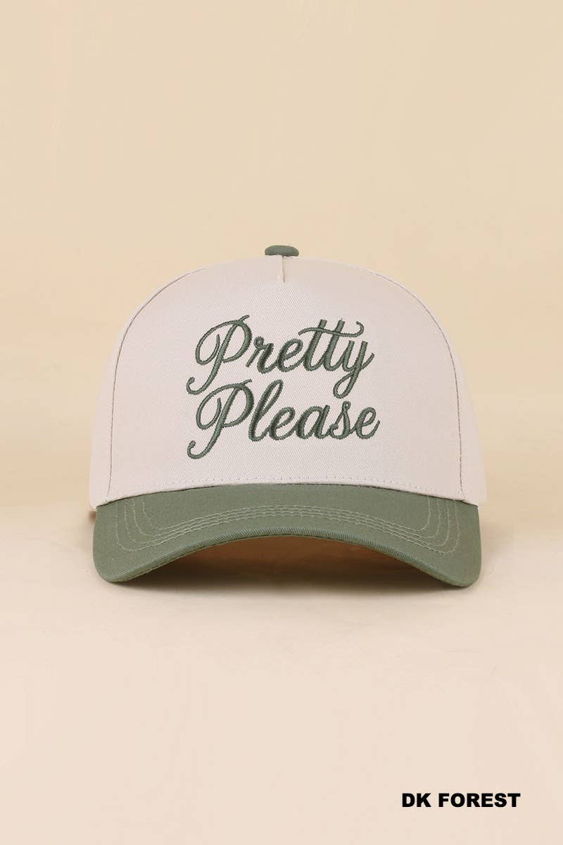 0519 Pretty Please Two Tone Snapback Hat SI-29866